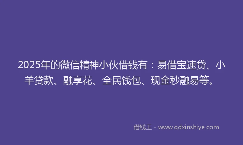 2025年的微信精神小伙借钱有：易借宝速贷、小羊贷款、融享花、全民钱包、现金秒融易等。