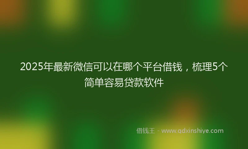 2025年最新微信可以在哪个平台借钱，梳理5个简单容易贷款软件
