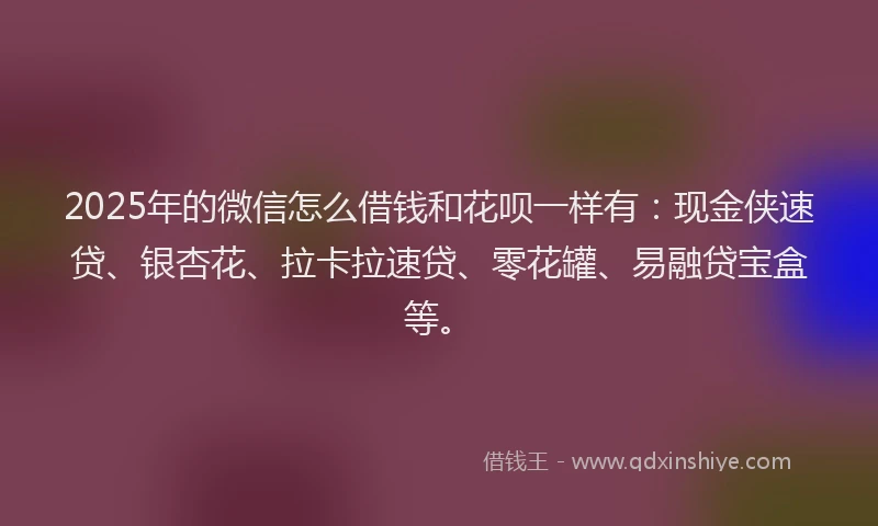 2025年的微信怎么借钱和花呗一样有：现金侠速贷、银杏花、拉卡拉速贷、零花罐、易融贷宝盒等。