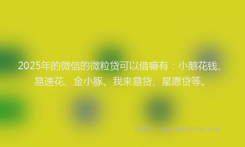2025年的微信的微粒贷可以借嘛有：小鹅花钱、易速花、金小豚、我来易贷、星愿贷等。