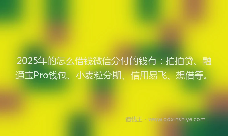 2025年的怎么借钱微信分付的钱有：拍拍贷、融通宝Pro钱包、小麦粒分期、信用易飞、想借等。