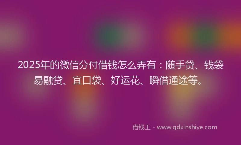 2025年的微信分付借钱怎么弄有：随手贷、钱袋易融贷、宜口袋、好运花、瞬借通途等。