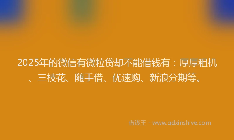 2025年的微信有微粒贷却不能借钱有：厚厚租机、三枝花、随手借、优速购、新浪分期等。