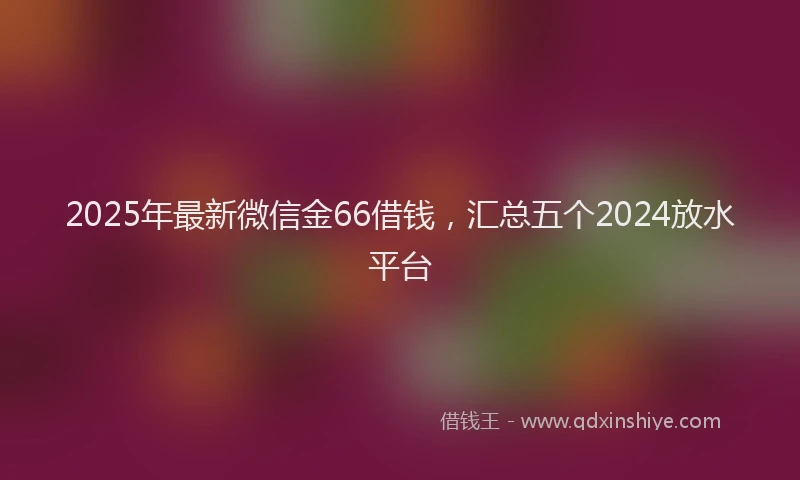 2025年最新微信金66借钱，汇总五个2024放水平台