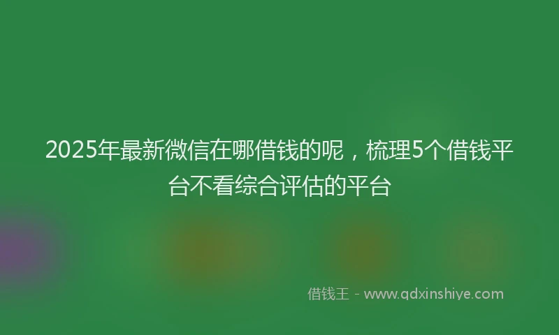 2025年最新微信在哪借钱的呢，梳理5个借钱平台不看综合评估的平台