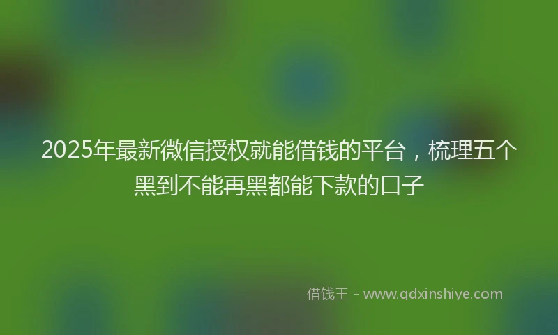 2025年最新微信授权就能借钱的平台，梳理五个黑到不能再黑都能下款的口子