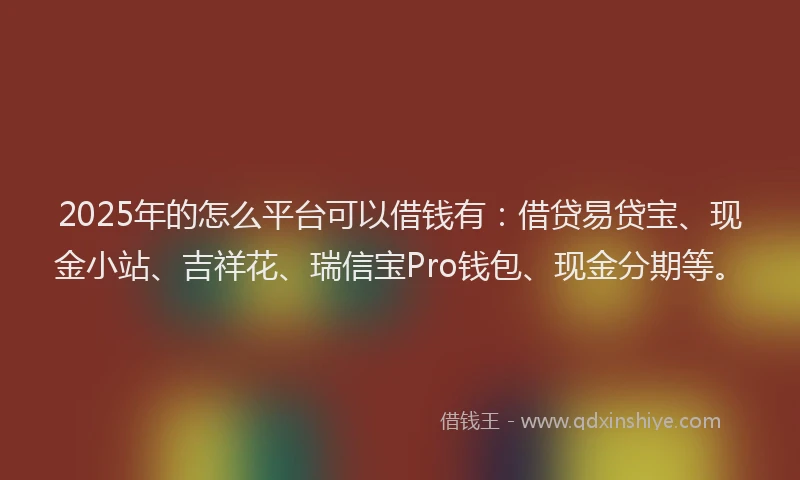 2025年的怎么平台可以借钱有：借贷易贷宝、现金小站、吉祥花、瑞信宝Pro钱包、现金分期等。