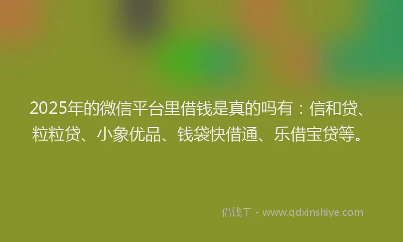 2025年的微信平台里借钱是真的吗有：信和贷、粒粒贷、小象优品、钱袋快借通、乐借宝贷等。