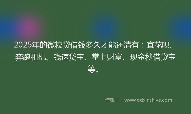 2025年的微粒贷借钱多久才能还清有：宜花呗、奔跑租机、钱速贷宝、掌上财富、现金秒借贷宝等。