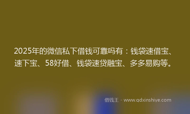 2025年的微信私下借钱可靠吗有：钱袋速借宝、速下宝、58好借、钱袋速贷融宝、多多易购等。