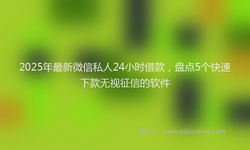 2025年最新微信私人24小时借款，盘点5个快速下款无视征信的软件