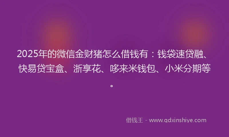 2025年的微信金财猪怎么借钱有：钱袋速贷融、快易贷宝盒、浙享花、哆来米钱包、小米分期等。