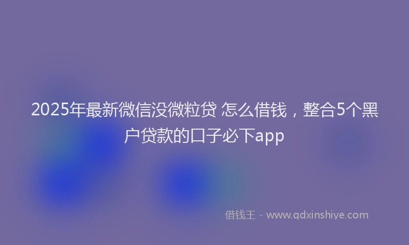 2025年最新微信没微粒贷 怎么借钱，整合5个黑户贷款的口子必下app