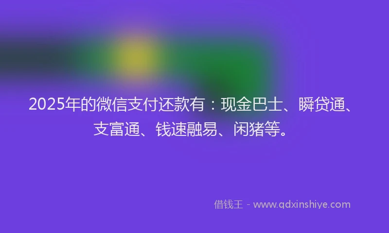 2025年的微信支付还款有：现金巴士、瞬贷通、支富通、钱速融易、闲猪等。