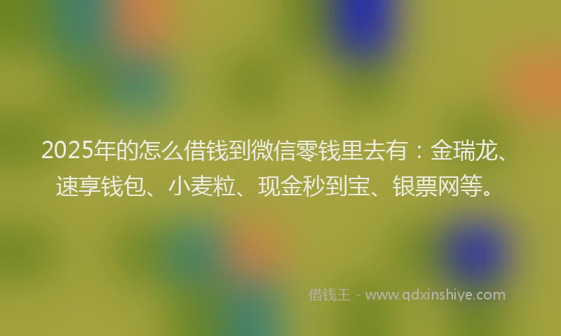 2025年的怎么借钱到微信零钱里去有：金瑞龙、速享钱包、小麦粒、现金秒到宝、银票网等。