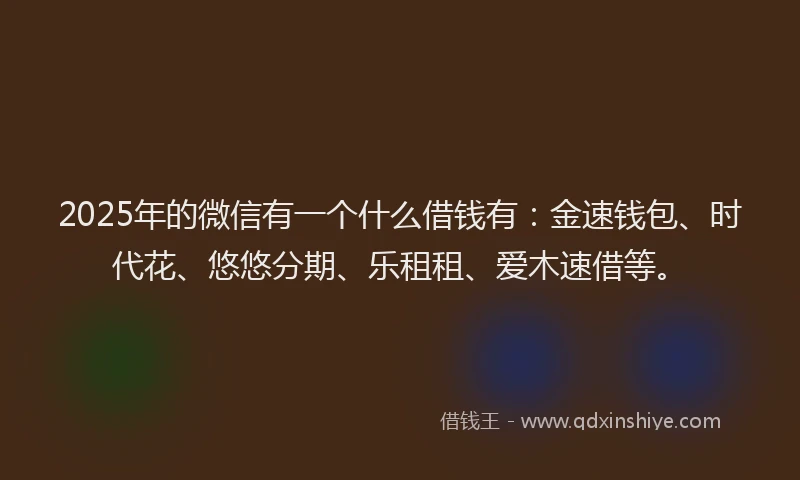 2025年的微信有一个什么借钱有：金速钱包、时代花、悠悠分期、乐租租、爱木速借等。
