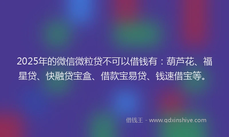 2025年的微信微粒贷不可以借钱有：葫芦花、福星贷、快融贷宝盒、借款宝易贷、钱速借宝等。