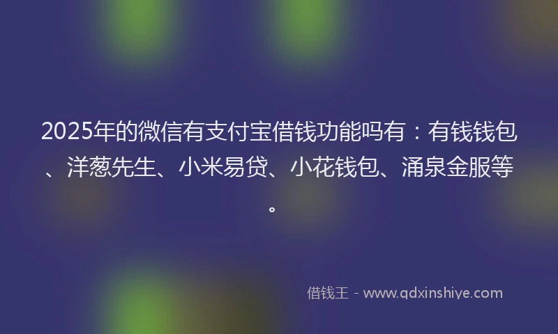 2025年的微信有支付宝借钱功能吗有：有钱钱包、洋葱先生、小米易贷、小花钱包、涌泉金服等。