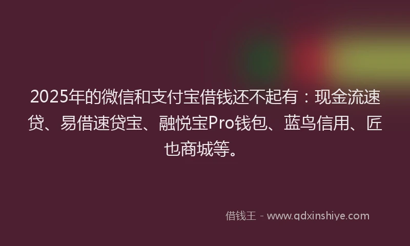2025年的微信和支付宝借钱还不起有：现金流速贷、易借速贷宝、融悦宝Pro钱包、蓝鸟信用、匠也商城等。