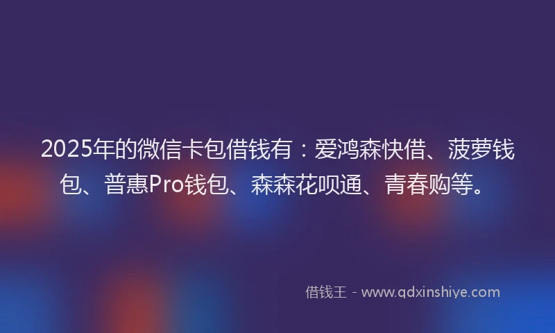 2025年的微信卡包借钱有：爱鸿森快借、菠萝钱包、普惠Pro钱包、森森花呗通、青春购等。