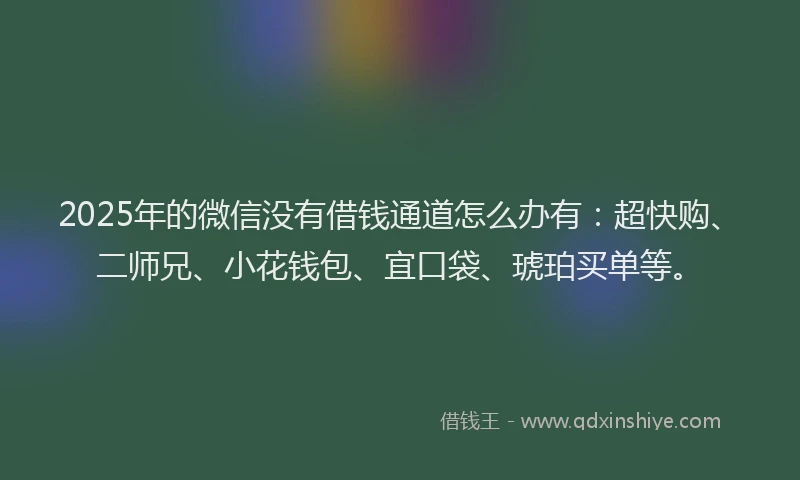 2025年的微信没有借钱通道怎么办有：超快购、二师兄、小花钱包、宜口袋、琥珀买单等。