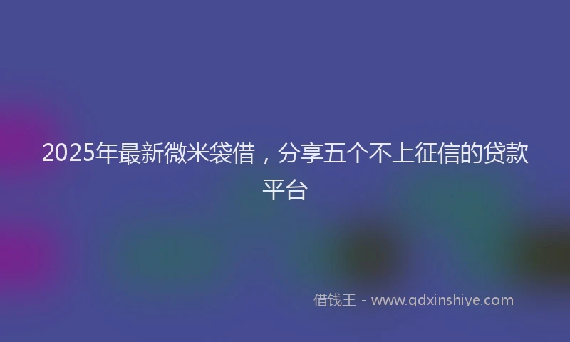2025年最新微米袋借，分享五个不上征信的贷款平台