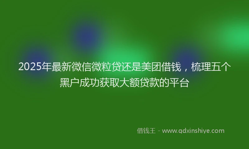 2025年最新微信微粒贷还是美团借钱，梳理五个黑户成功获取大额贷款的平台