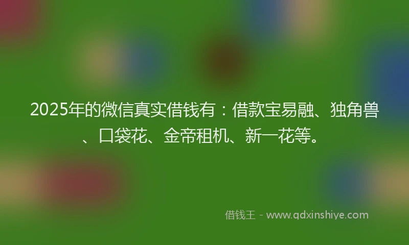 2025年的微信真实借钱有：借款宝易融、独角兽、口袋花、金帝租机、新一花等。