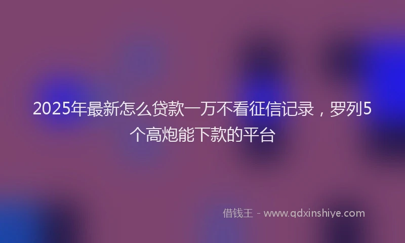2025年最新怎么贷款一万不看征信记录，罗列5个高炮能下款的平台