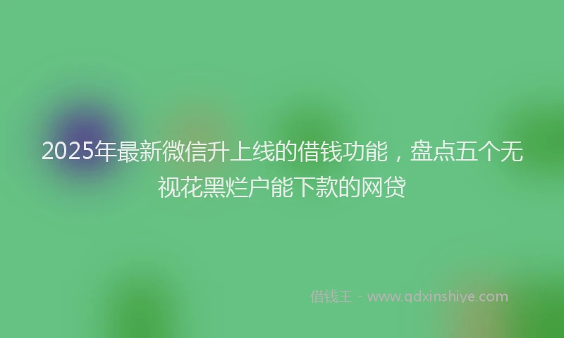 2025年最新微信升上线的借钱功能，盘点五个无视花黑烂户能下款的网贷