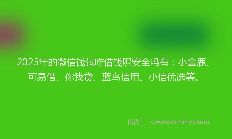 2025年的微信钱包咋借钱呢安全吗有：小金鹿、可易借、你我贷、蓝鸟信用、小信优选等。