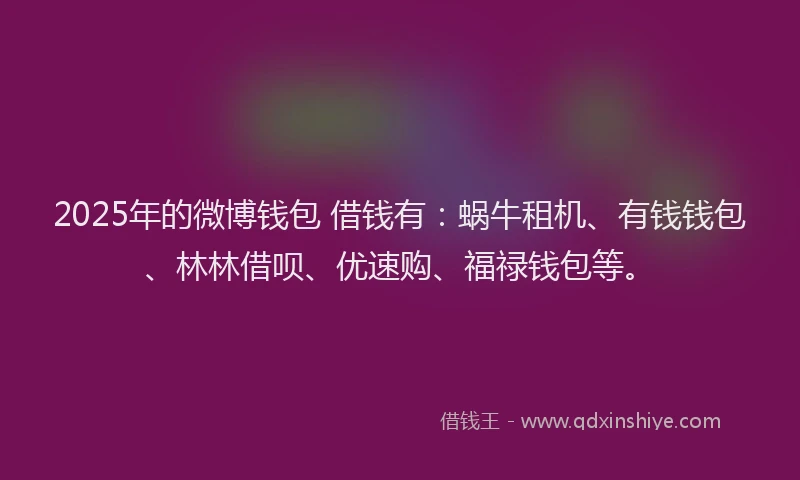2025年的微博钱包 借钱有：蜗牛租机、有钱钱包、林林借呗、优速购、福禄钱包等。