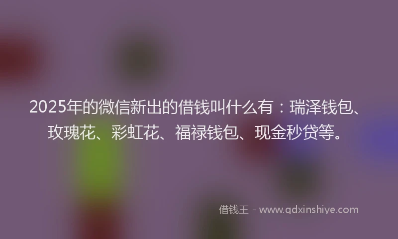 2025年的微信新出的借钱叫什么有：瑞泽钱包、玫瑰花、彩虹花、福禄钱包、现金秒贷等。