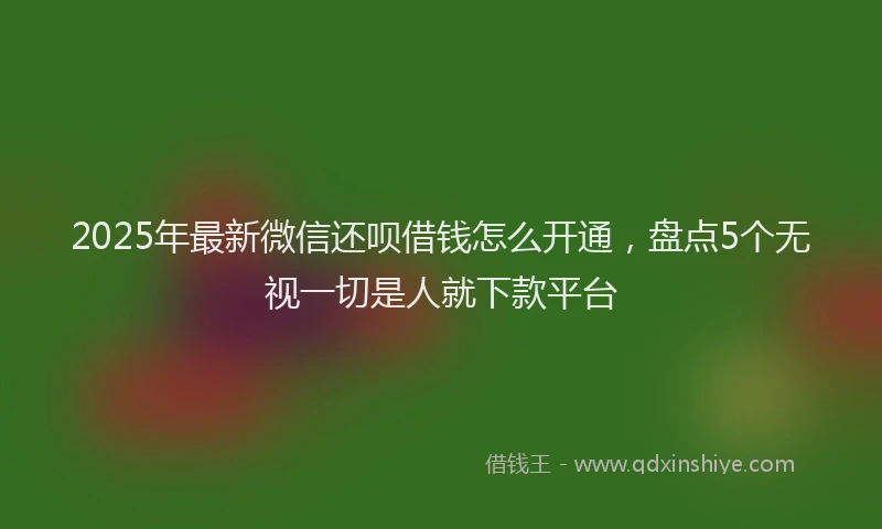 2025年最新微信还呗借钱怎么开通，盘点5个无视一切是人就下款平台
