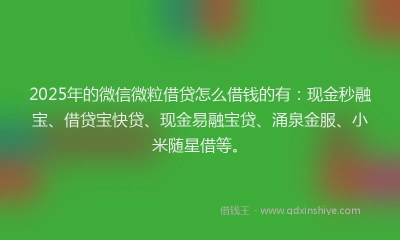 2025年的微信微粒借贷怎么借钱的有：现金秒融宝、借贷宝快贷、现金易融宝贷、涌泉金服、小米随星借等。