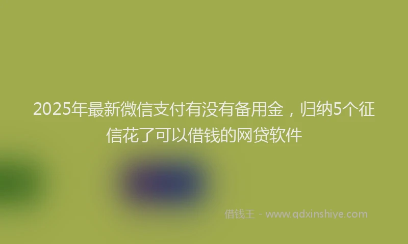 2025年最新微信支付有没有备用金，归纳5个征信花了可以借钱的网贷软件