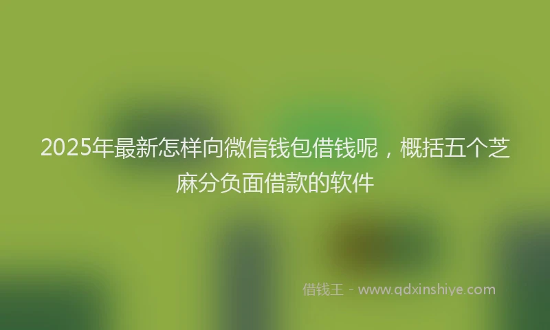 2025年最新怎样向微信钱包借钱呢，概括五个芝麻分负面借款的软件