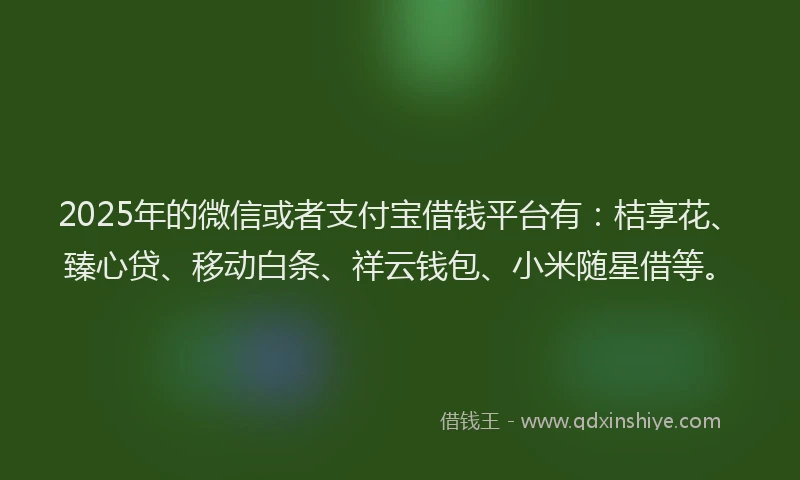 2025年的微信或者支付宝借钱平台有：桔享花、臻心贷、移动白条、祥云钱包、小米随星借等。
