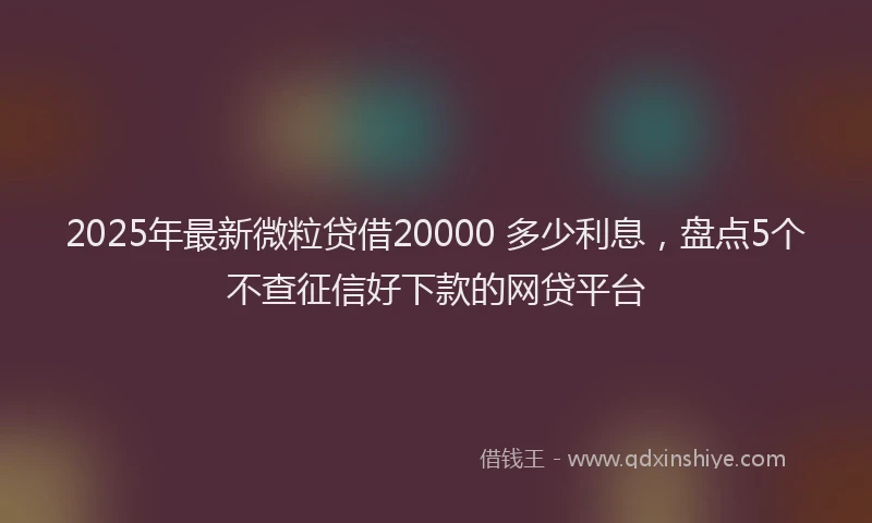 2025年最新微粒贷借20000 多少利息，盘点5个不查征信好下款的网贷平台