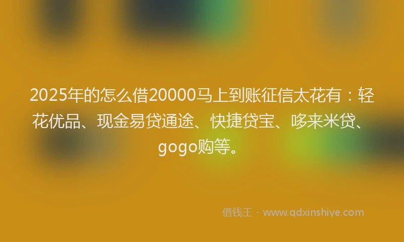 2025年的怎么借20000马上到账征信太花有：轻花优品、现金易贷通途、快捷贷宝、哆来米贷、gogo购等。