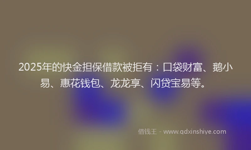 2025年的快金担保借款被拒有：口袋财富、鹅小易、惠花钱包、龙龙享、闪贷宝易等。
