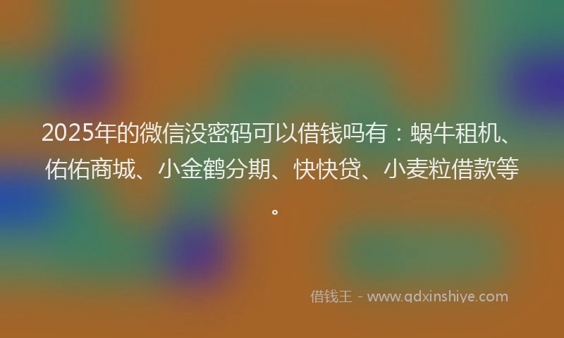 2025年的微信没密码可以借钱吗有：蜗牛租机、佑佑商城、小金鹤分期、快快贷、小麦粒借款等。