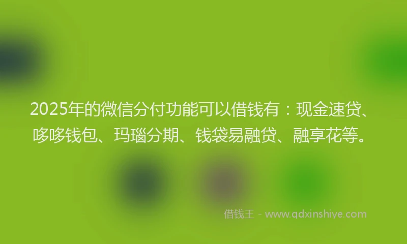 2025年的微信分付功能可以借钱有：现金速贷、哆哆钱包、玛瑙分期、钱袋易融贷、融享花等。