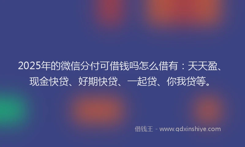 2025年的微信分付可借钱吗怎么借有：天天盈、现金快贷、好期快贷、一起贷、你我贷等。
