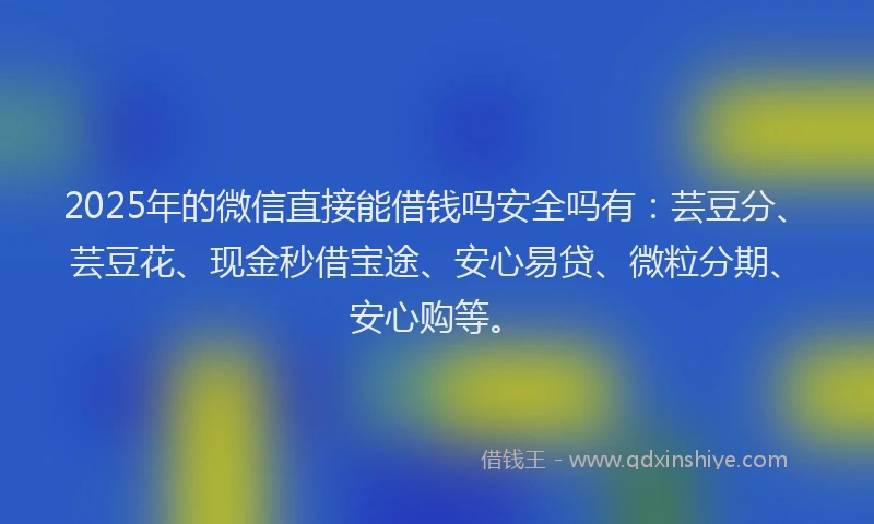 2025年的微信直接能借钱吗安全吗有：芸豆分、芸豆花、现金秒借宝途、安心易贷、微粒分期、安心购等。