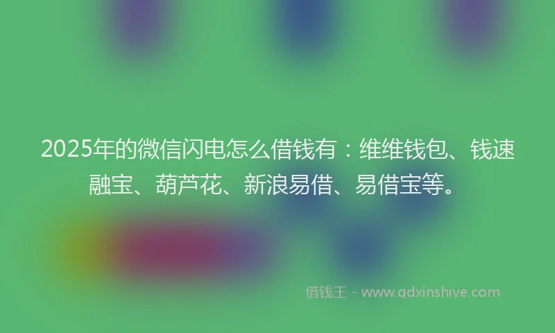 2025年的微信闪电怎么借钱有：维维钱包、钱速融宝、葫芦花、新浪易借、易借宝等。