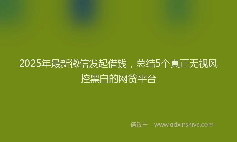 2025年最新微信发起借钱，总结5个真正无视风控黑白的网贷平台