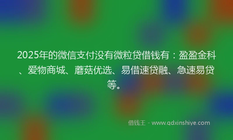 2025年的微信支付没有微粒贷借钱有：盈盈金科、爱物商城、蘑菇优选、易借速贷融、急速易贷等。