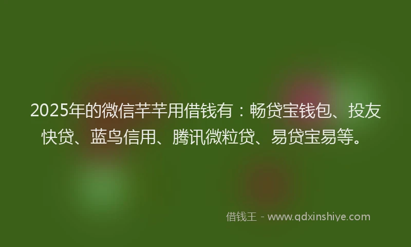2025年的微信芊芊用借钱有：畅贷宝钱包、投友快贷、蓝鸟信用、腾讯微粒贷、易贷宝易等。
