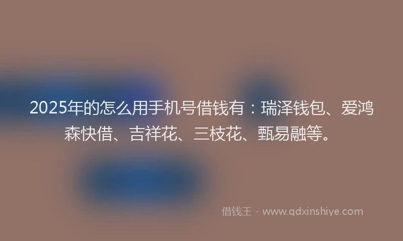 2025年的怎么用手机号借钱有：瑞泽钱包、爱鸿森快借、吉祥花、三枝花、甄易融等。